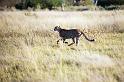 20090618_075514 D3 (2) X1